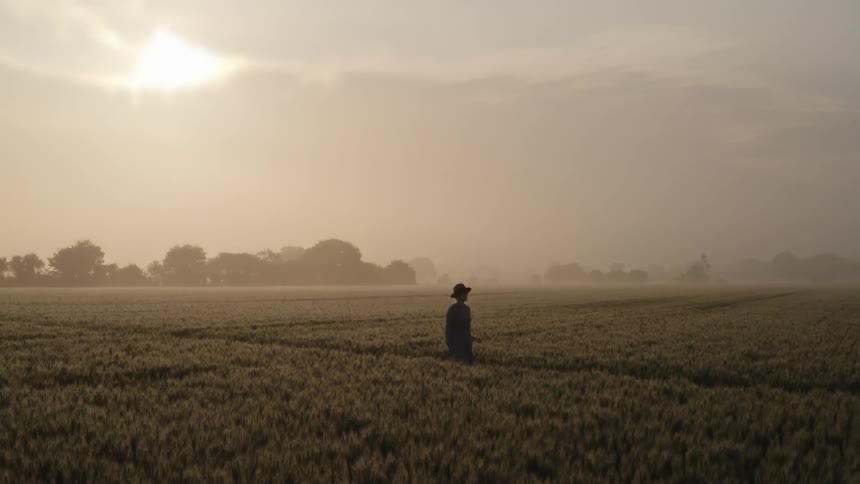 Woman wearing hat and dress walks through field of crops as the sun shines through the clouds and trees are on the horizon