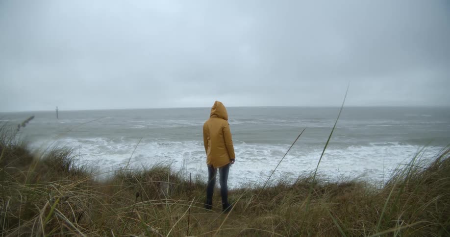 A woman stands on the shore and looks out at the water