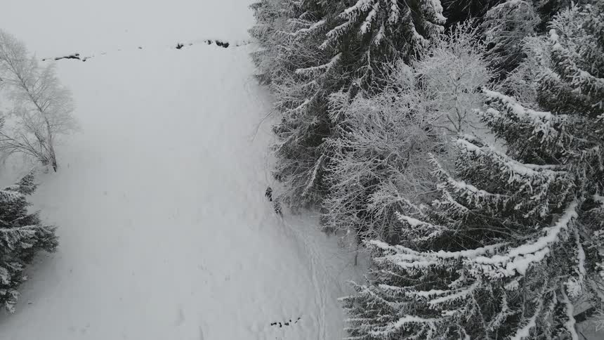 Two hikers leave a trail of footprints in deep snow as they walk along the edge of a forest