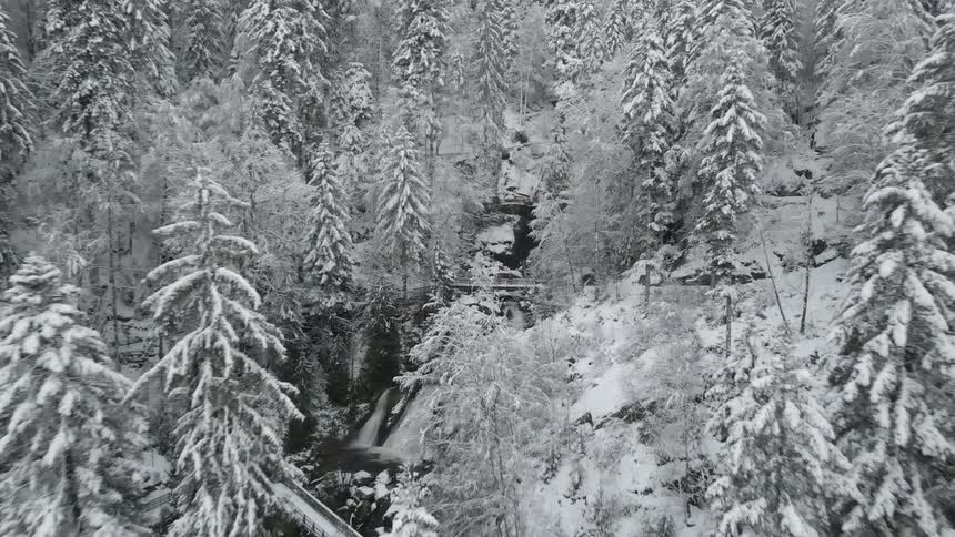 A ravine containing a river runs under a bridge on a mountain slope covered in frozen forest
