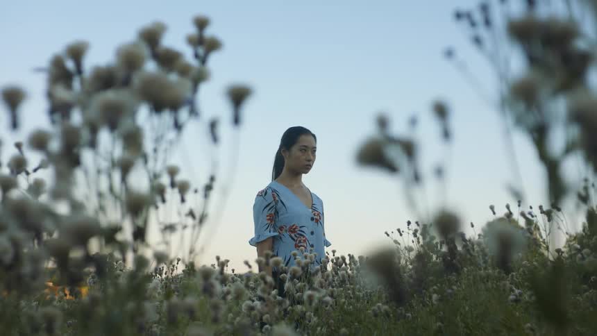 A woman is standing outdoors in a field of flowers at dusk