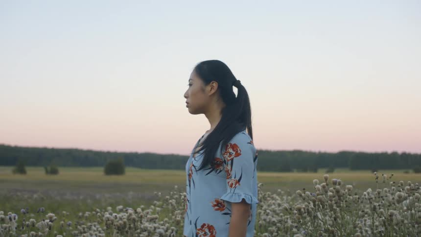 Woman walks through meadow of wildflowers as red sky sits over forest on horizon