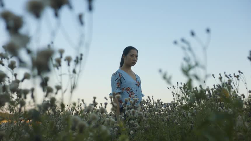 A young woman standing in a field of flowers looking around