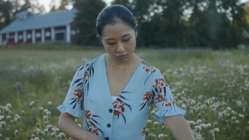A woman stands in a field and picks off the tops of plants