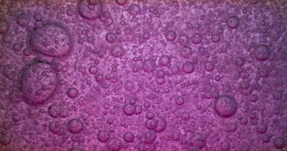 Bubbles floating up in purple liquid