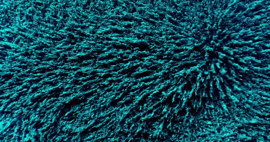 Teal items blown up moving in unison