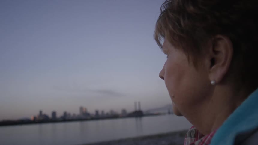 A woman is looking over a lake at sunset