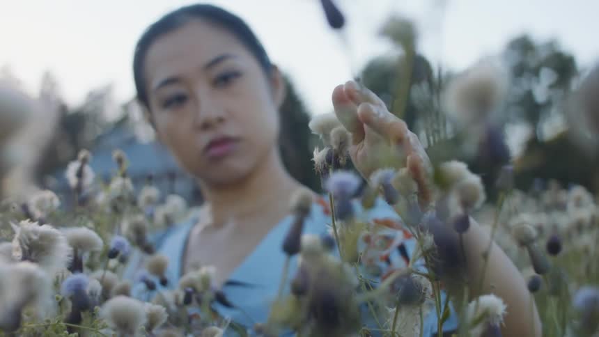 An asian woman stands outside in a field touching the wildflowers