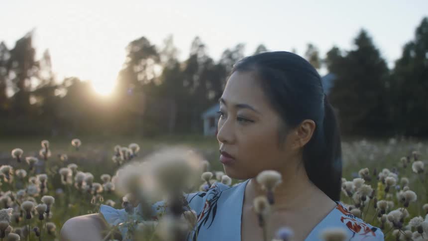 A young asian woman reaches out to touch the flowers around her while sitting in a field of tall flowers in the evening