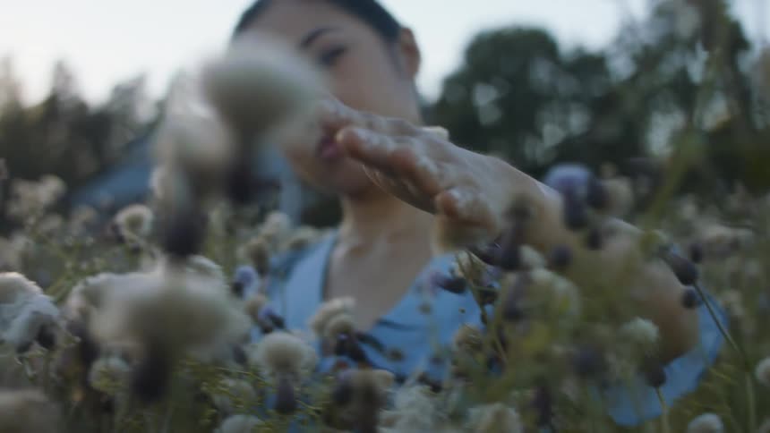 A girl is looking at flowers in a meadow