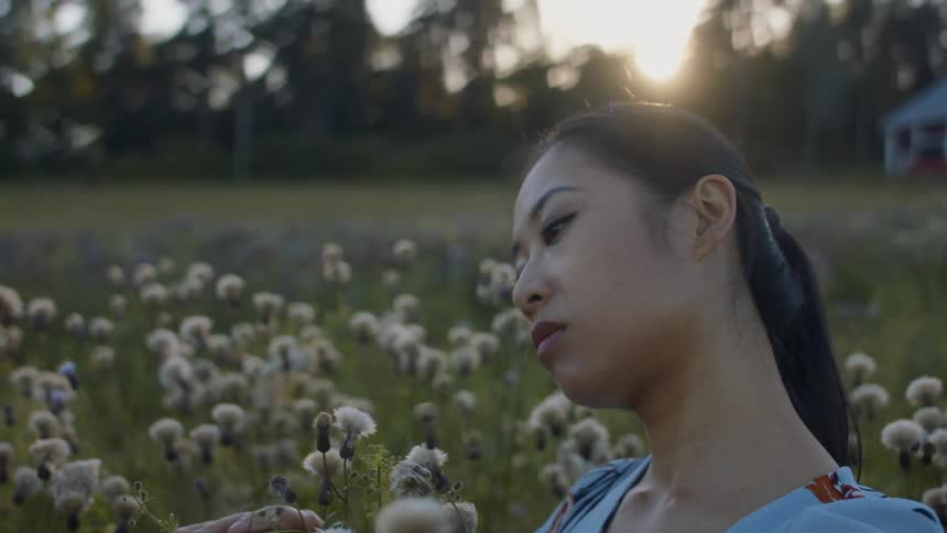 A woman is sitting in the flower meadow
