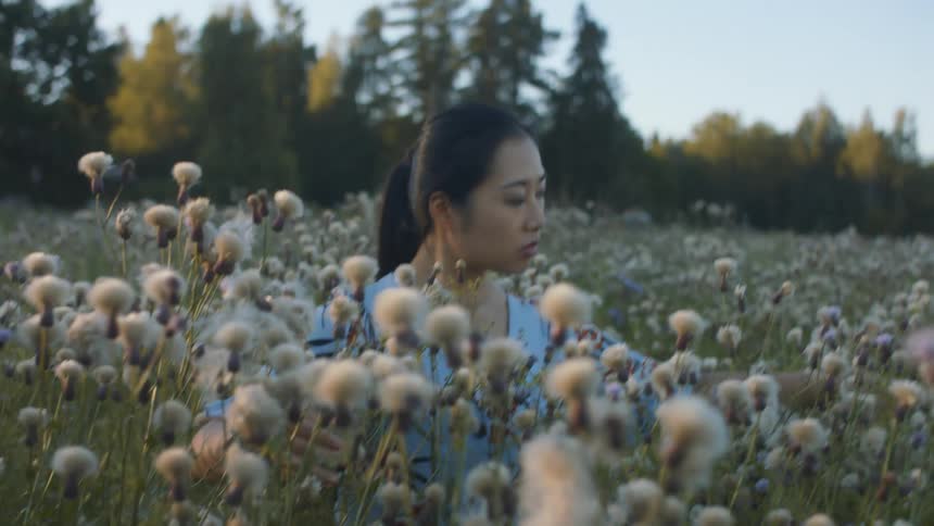 Woman touching flowers in a meadow