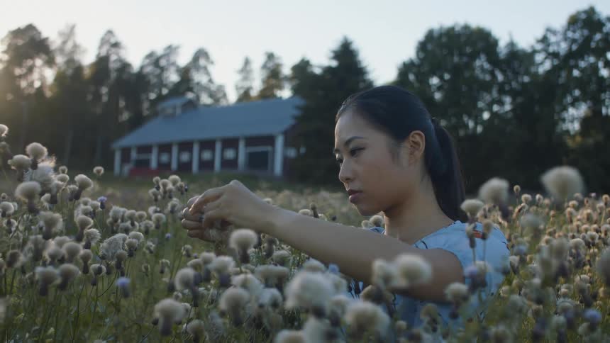 Woman plucking at a flower out in a flower field in the countryside