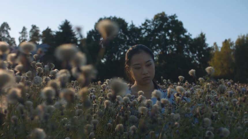 Woman picking flowers in a large field