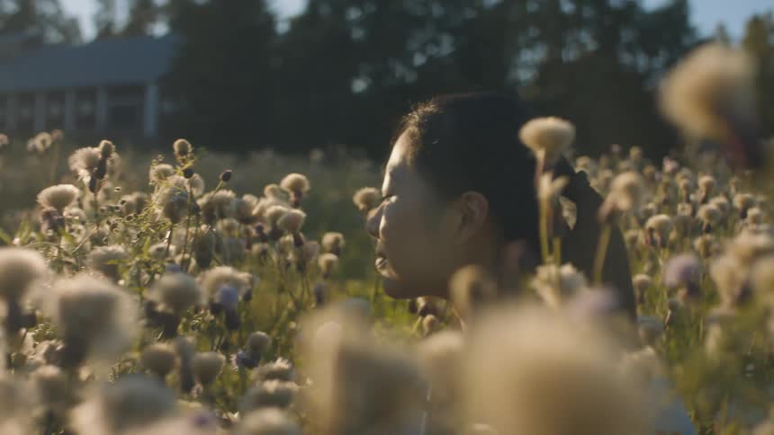 An asian woman stands in a field of wildflowers appreciating nature