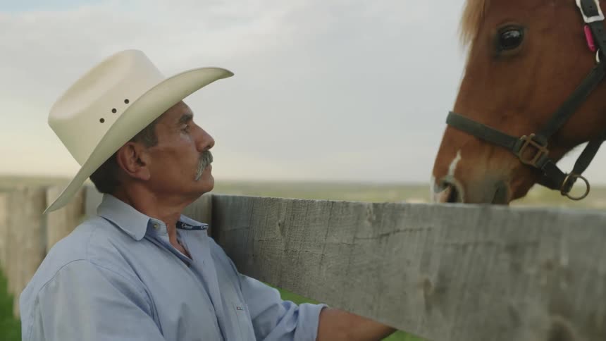 A man is standing by a fence and a horse at dusk