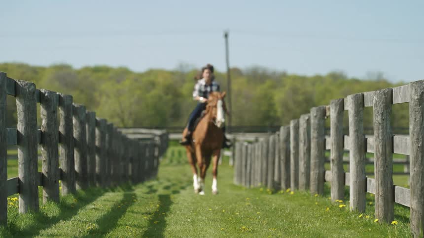 A woman on a racing horse
