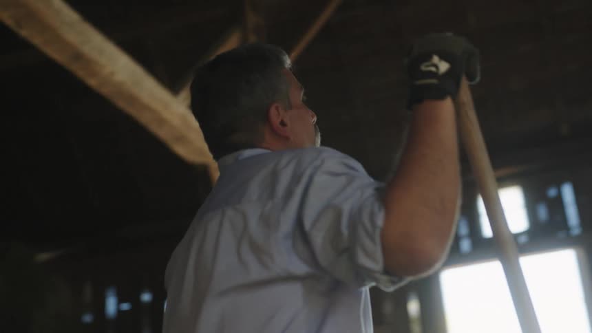 A worker standing inside a barn or stable looking up