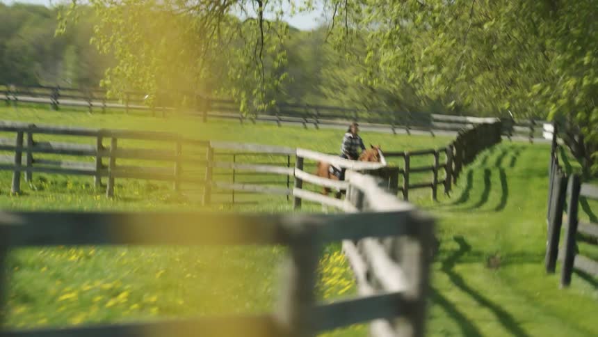 Woman galloping on a brown horse betweent the wooden fences in a ranch