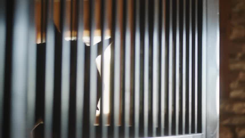 A horse in a stall with metal bars in a stable