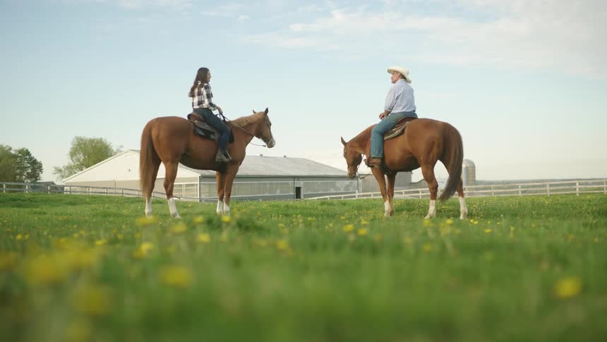 Two people sitting on horses in a field