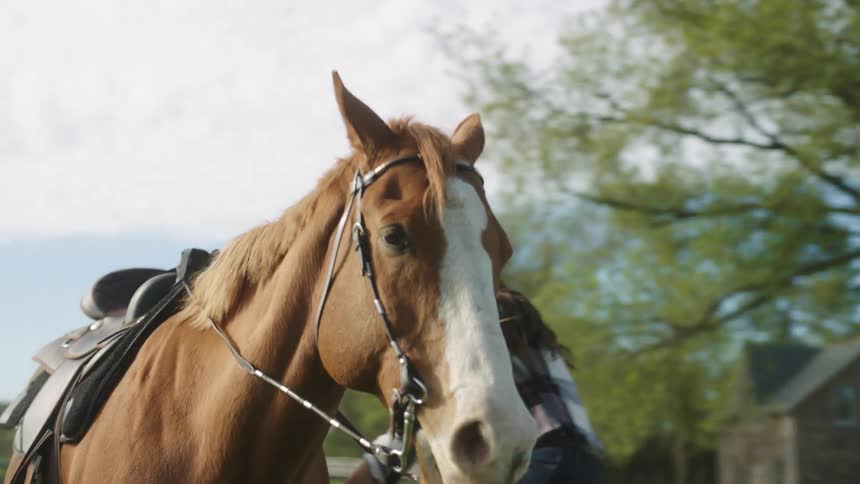 A woman is riding a horse during the day in spring