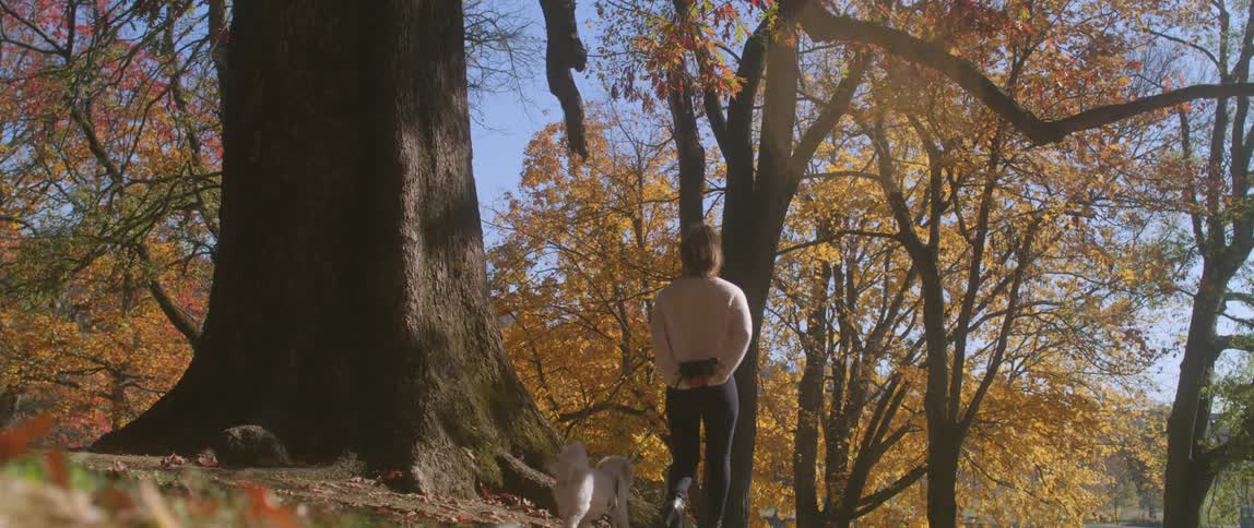 A woman walking a dog on a leash with trees the sky and clouds in the background