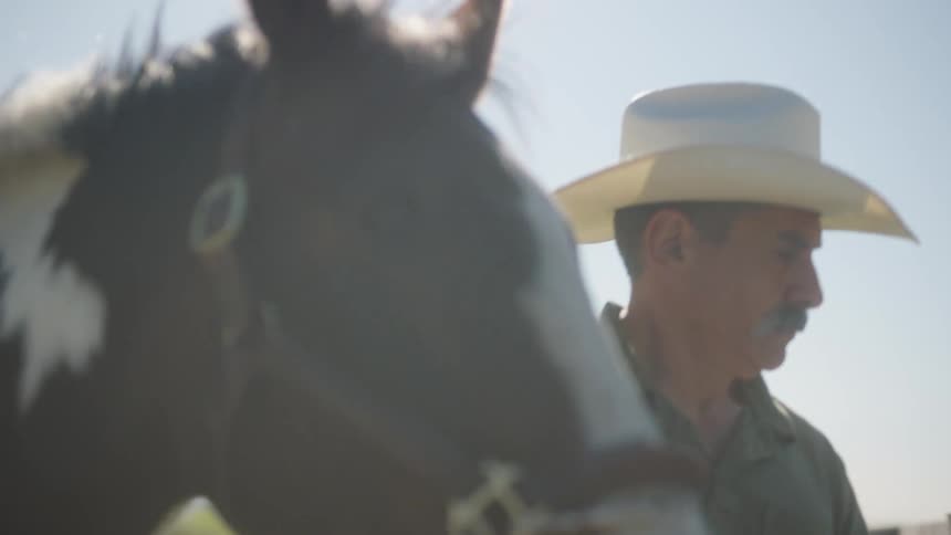 An older man wearing a cowboy hat leading a horse to a close off field with fencing and a gate