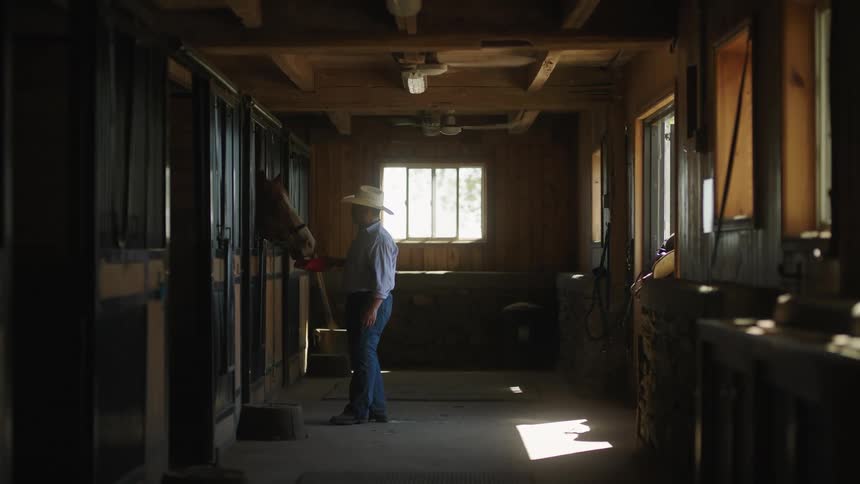 Rancher feeding a horse in a stall in a barn