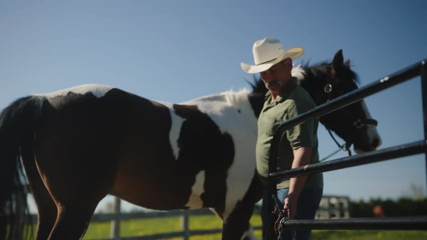 A rancher leads a horse on a leash into a ranch enclosure at daytime and closes the fence door behind him