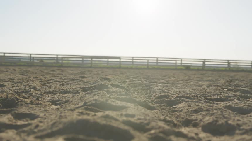 A woman rides a horse on the ranch