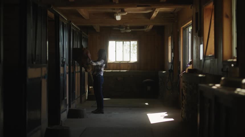 A woman walking in a stable and petting a horse with a wall and a window in the background
