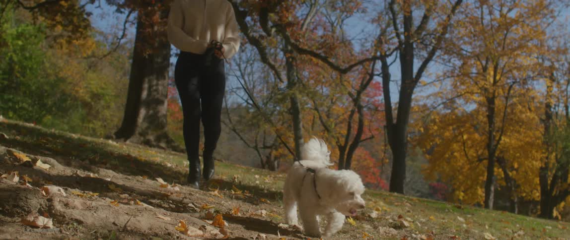 A woman with sunglasses walking a dog on a leash with trees the sky and clouds in the background