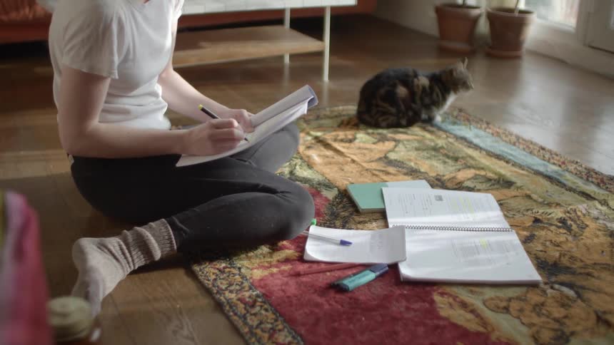 A woman sitting on the floor writing in a book with a pen with a cat in the background