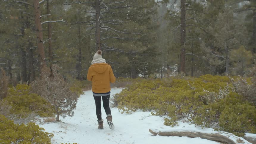 Woman walking a path towards the forest while its snowing