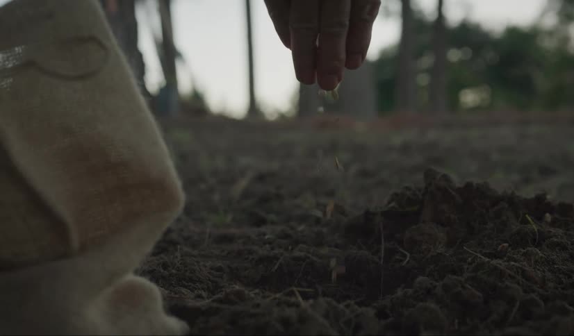 A hand pours seeds into a small dug hole in soil outdoors