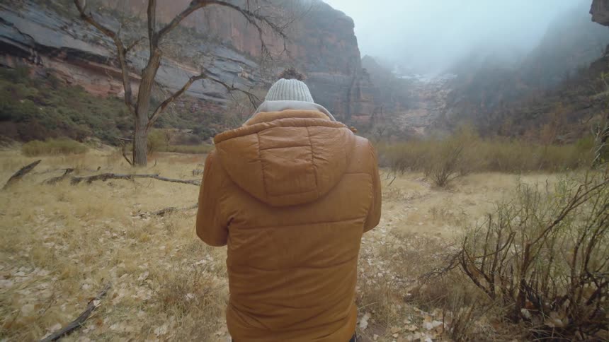 A person with a hat coat and gloves walking with a canyon the sky and clouds in the background