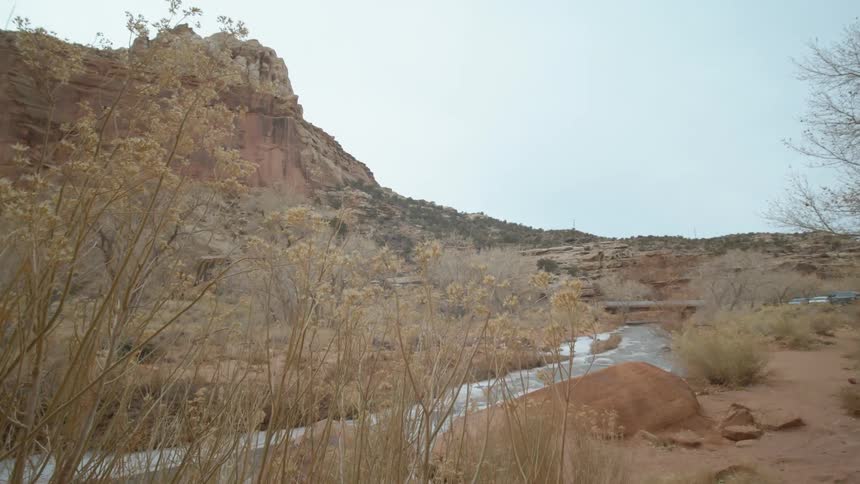 A canyon next to a river in the desert with cars parked in the distance