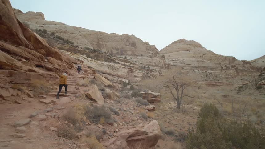 People are hiking up the mountains