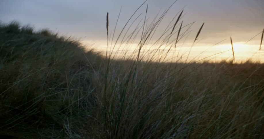 A grassy field with the sky and clouds in the background