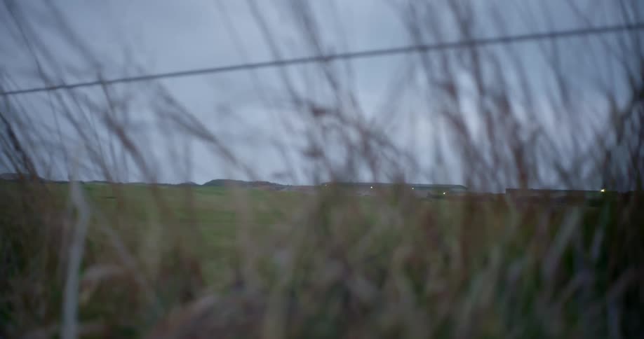 A low view of a grassy field with buildings in the distance with a few lights on