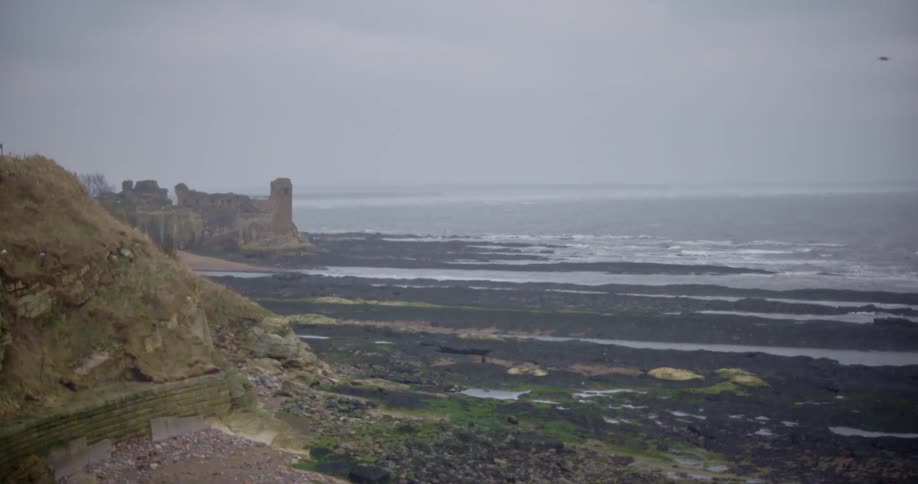 Birds fly over coast near ruins and promontory under overcast sky on misty day