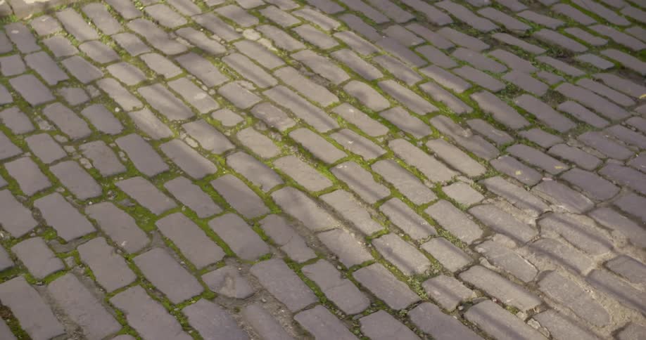 Morning sunlight reflecting over the moss growing on the cobblestone road