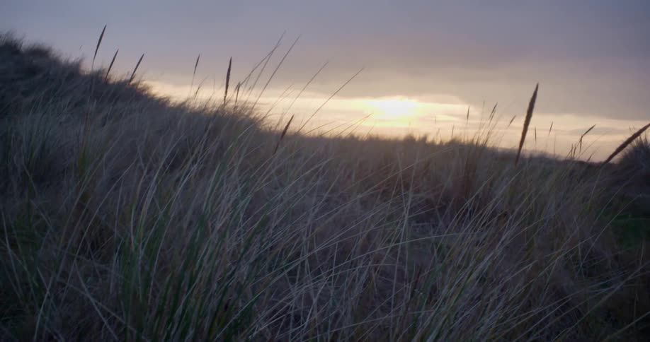 Sun sets over grassy land in a cloudy sky