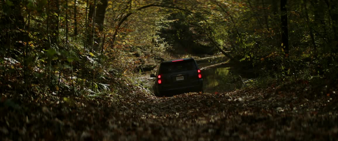 A vehicle drives on a rural road in a forest