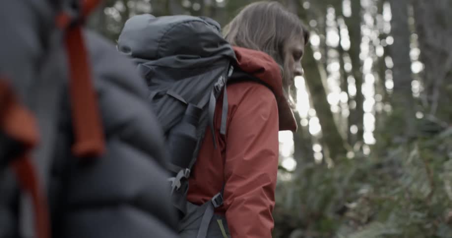 Hikers walk through the woods