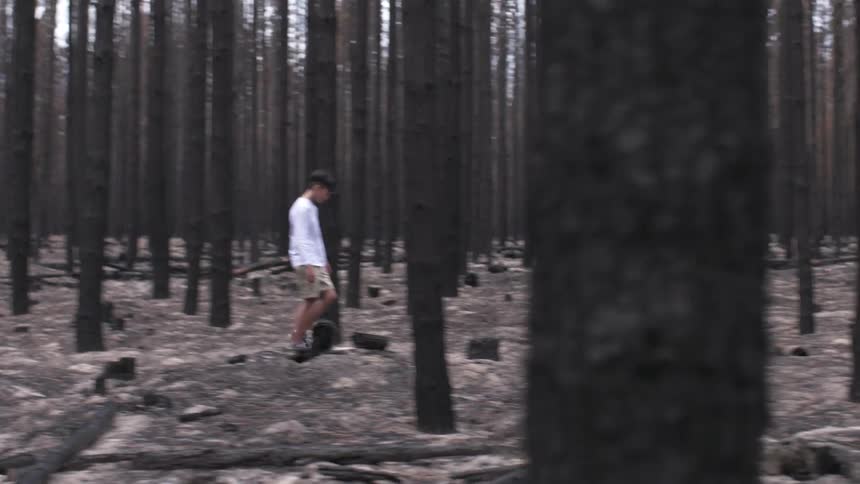 Young male wearing a white shirt and shorts walks through a forest of tall trees
