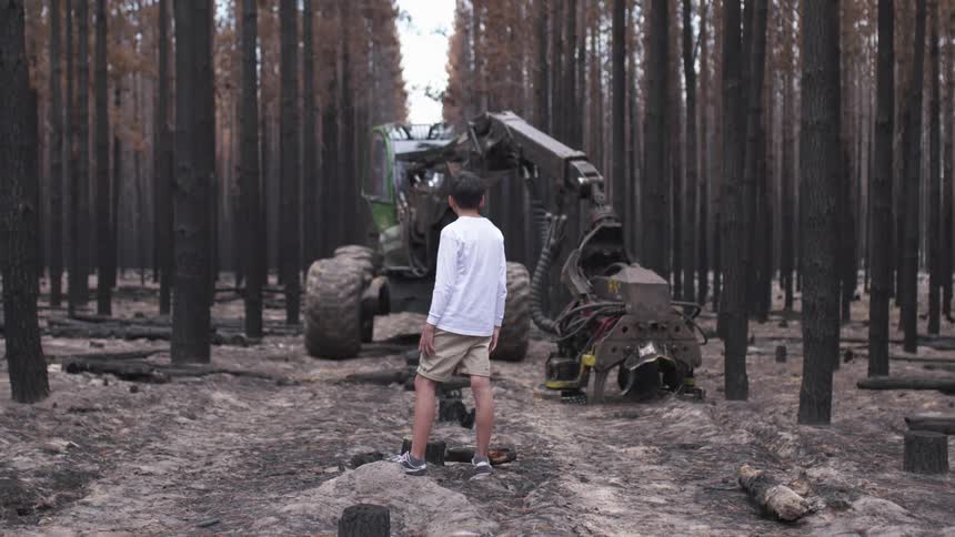 A man standing in a forest with a tractor trees the sky and clouds in the background