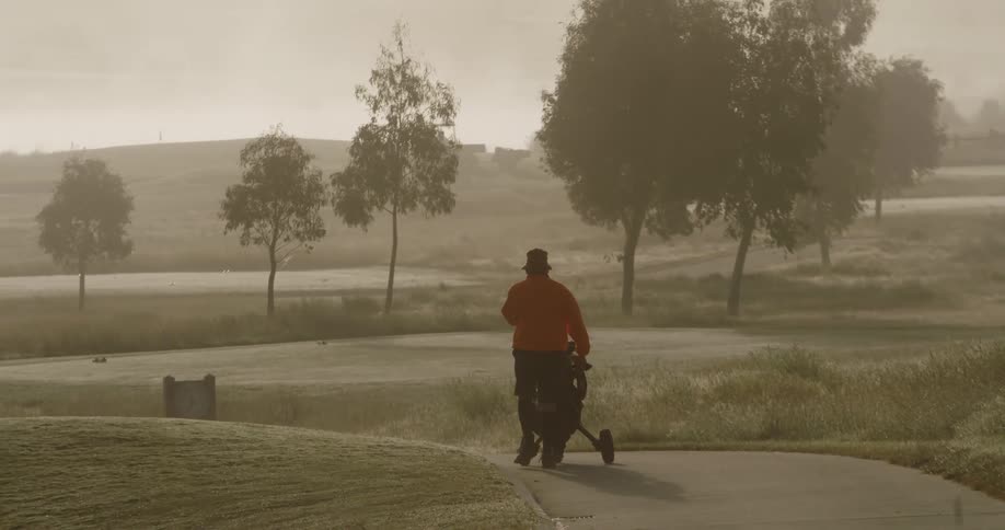 A person with a hat pushing a cart on a pathway with trees the sky and clouds in the background