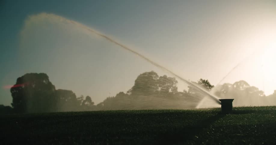 Sprinkler heads sticking out of the grass and spraying water